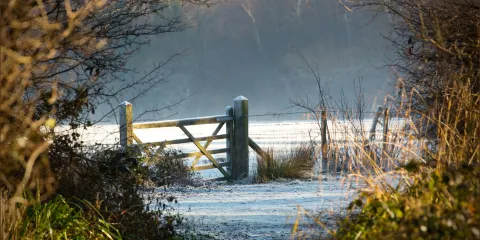 Sevenoaks Wildlife Reserve