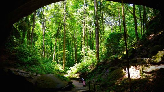 Natural Bridge Park