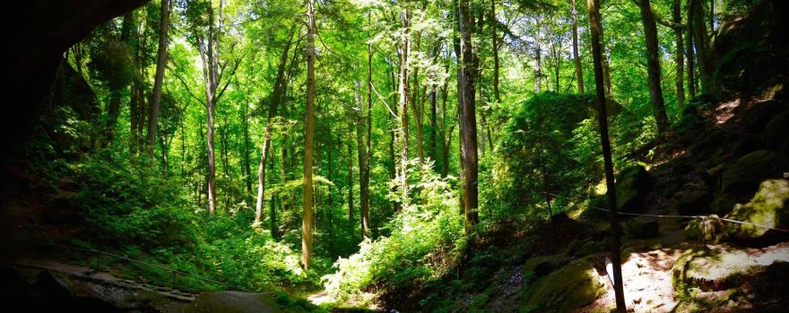 Natural Bridge Park