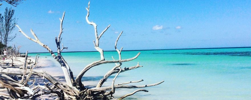 Cayo Jutias