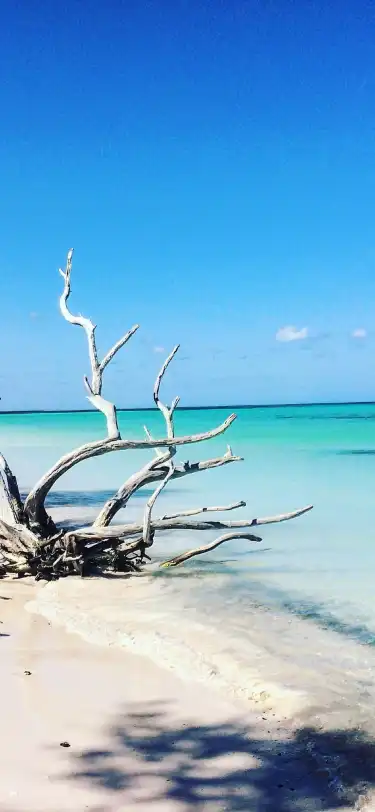 Hotels With WiFi in Pinar del Rio, Cuba