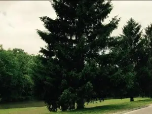 Tuhey Park