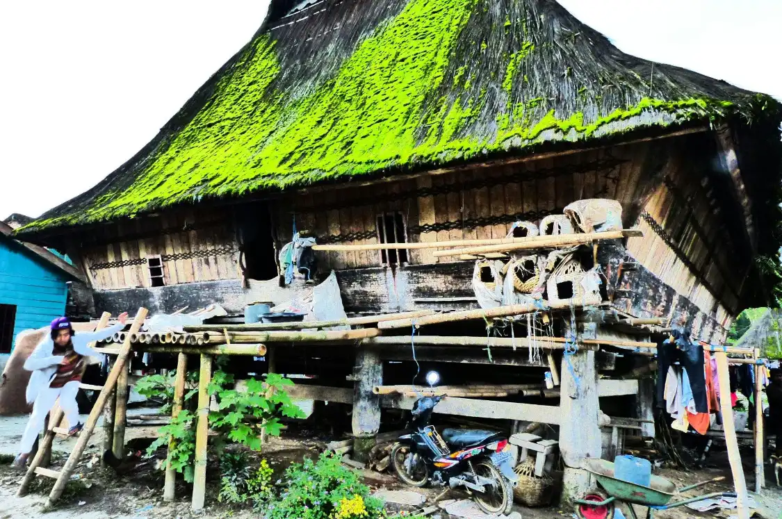 Hotel dekat Dokan Batak Village