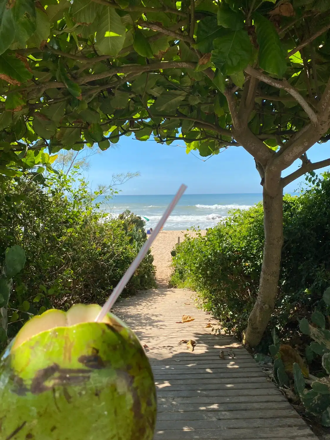 Hotels near Pecado Beach