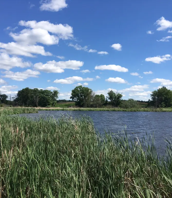 White Bear Township