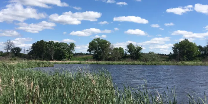 Tamarack Nature Center