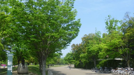 Okayama Prefectural Multipurpose Grounds