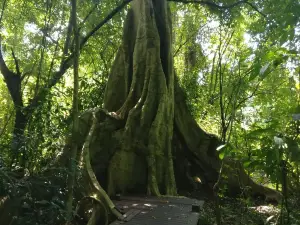 Phu Sang National Park