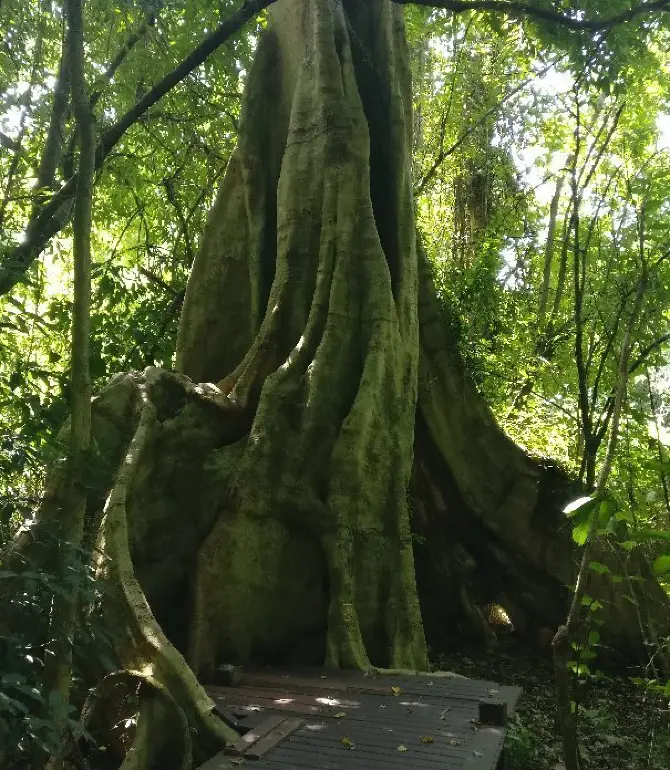 普桑縣