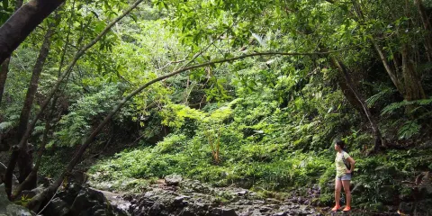 Ta Waterfall