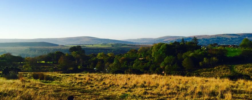 Ynys Dawela Nature park