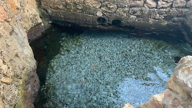 Orea Eleni Natural Thermal Spring