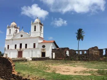 Alcantara