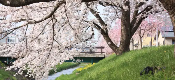 村山市のホテル