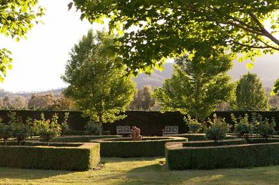 High Country Estate - Gardens, Gallery, Cafe and Maze