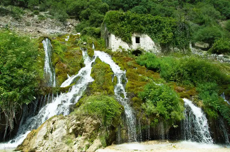 Hotels in Souli