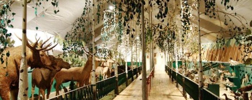 Museum of flora and fauna of Shatsky Forest College
