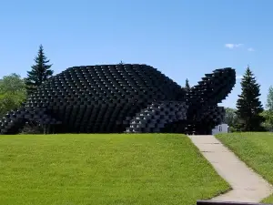 W'eel Turtle