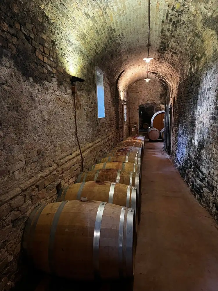 Hôtels à : Borgonovo