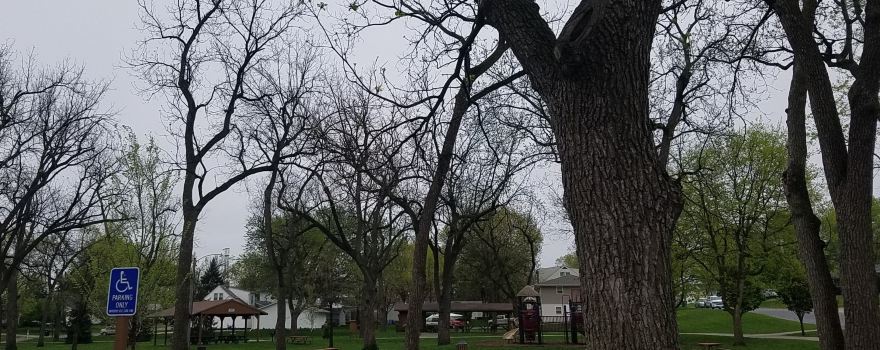 Tucker Park