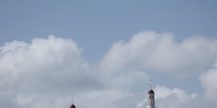 Avenia La Calzada