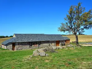 Buron de Camejane