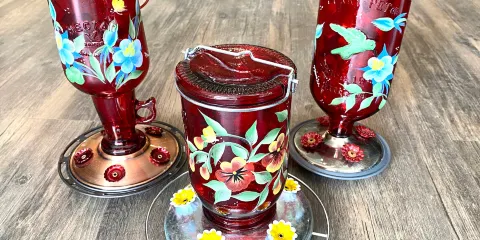 The Evergreen Gallery