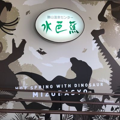 Katsuyama Spa Center Mizubasho