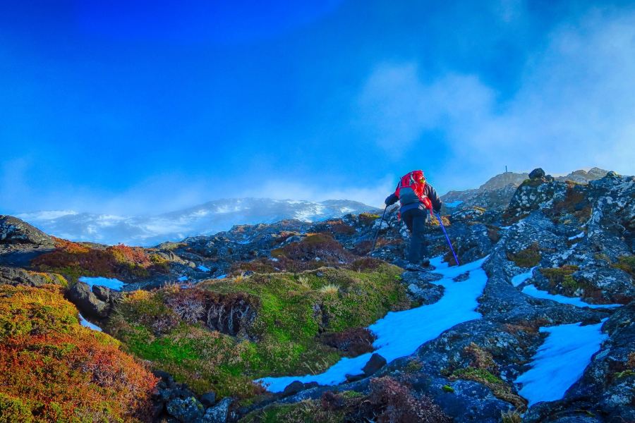 Nantes to Pico Island Flights