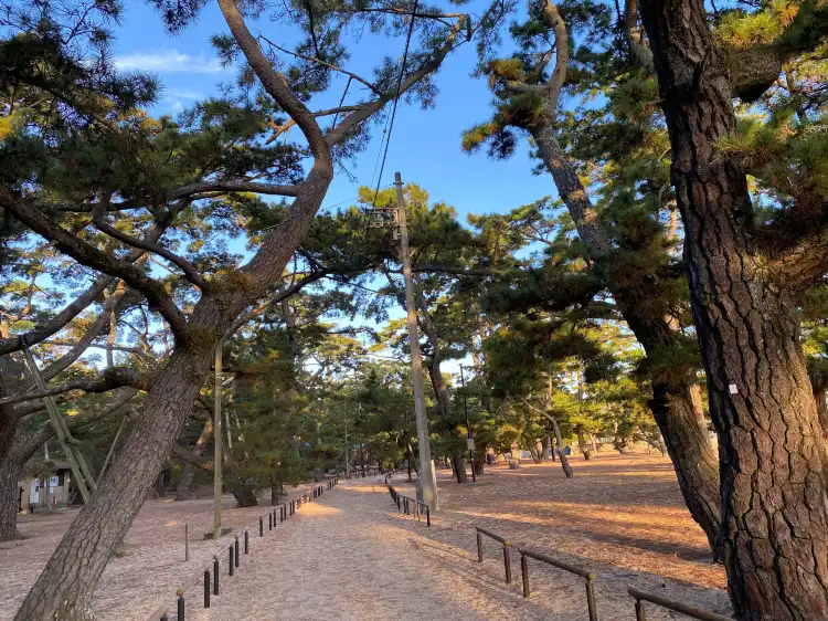 JR 시도역 주변 호텔