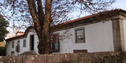 Museu da Cultura Castreja