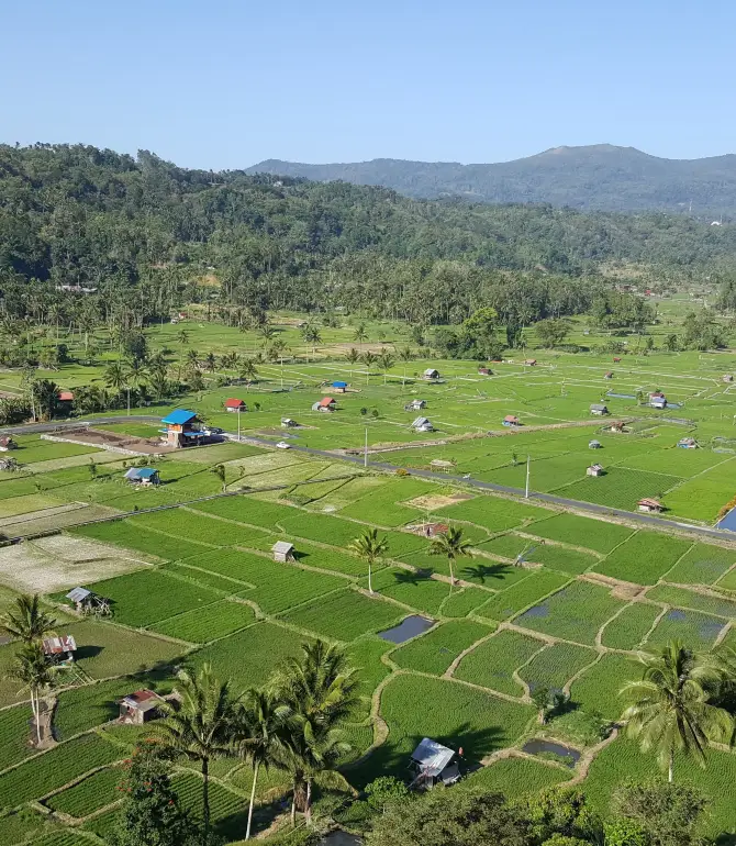 West Tomohon