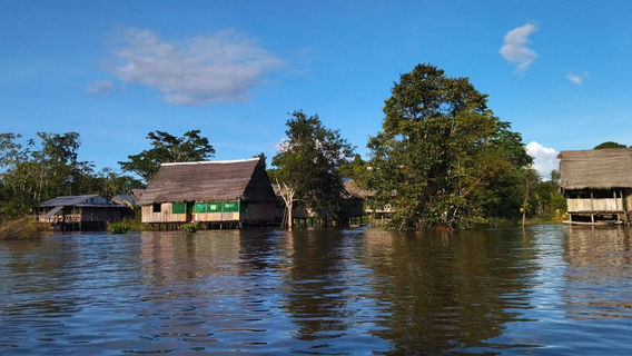 Yanayacu Pacaya Samiria Expeditions