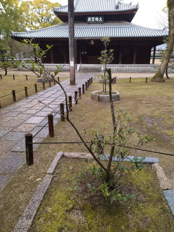 4_Nihoncha Hassho no Cha no Ki