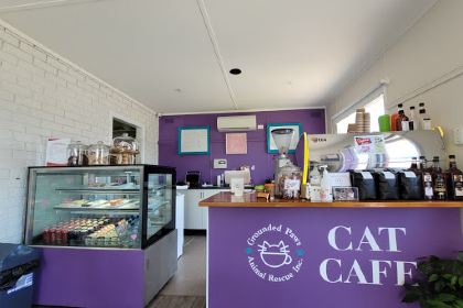 Grounded Paws Animal Rescue & Cat Cafe