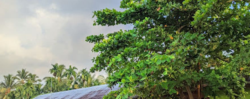 Jerambang
