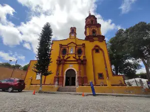 armadillo de los Infantes