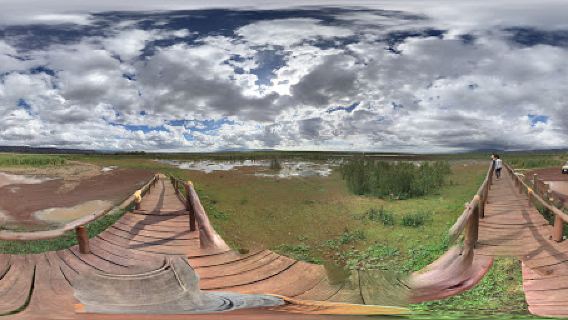 Lake Manyara Viewpoint
