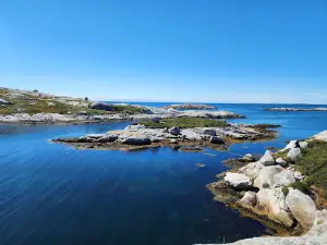 Polly Cove Hiking Trail