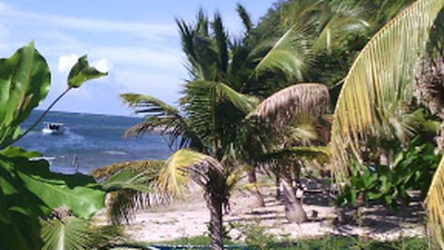 Garifuna Cultural Center