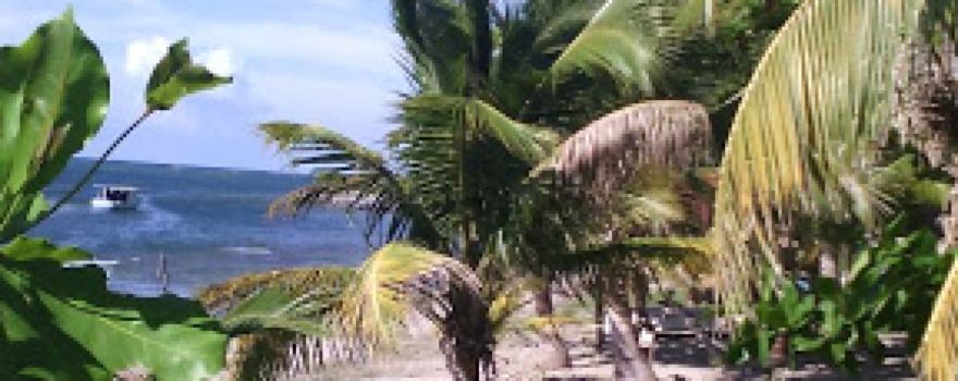 Garifuna Cultural Center