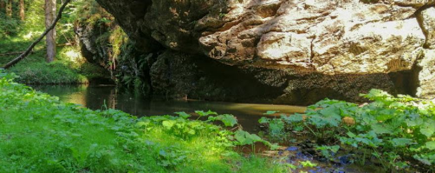 Teigitschklamm