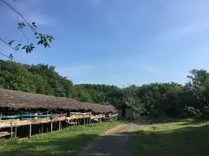Bukit Rimpi