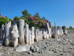 Parc "De la plage"