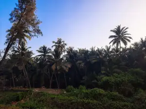 Guhagar Beach