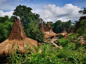 Kampung Prai Ijing