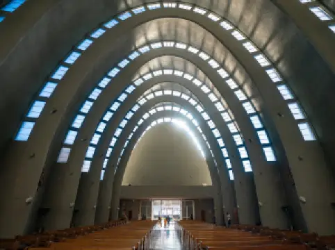 St. Charles Borromeo Cathedral, Chillán