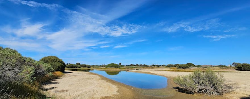 Magazine Creek Wetlands