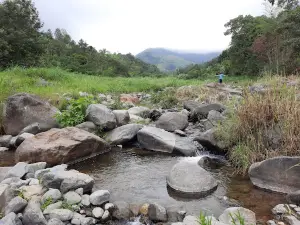"LAGUNILLAS DE SAN ANTONIO"