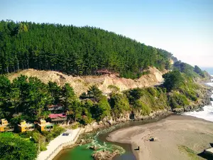 Mirador Estero Buchupureo